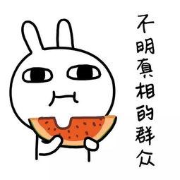 娱乐吃瓜酱的创作背景,揭秘娱乐圈幕后故事，带你走进明星真实生活