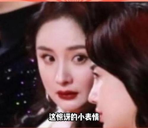 娱乐圈的瓜哪里吃
